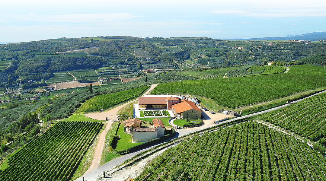 Scaia Corvina IGT Veneto 0,75l | Tenuta S. Antonio – Obrázok 2