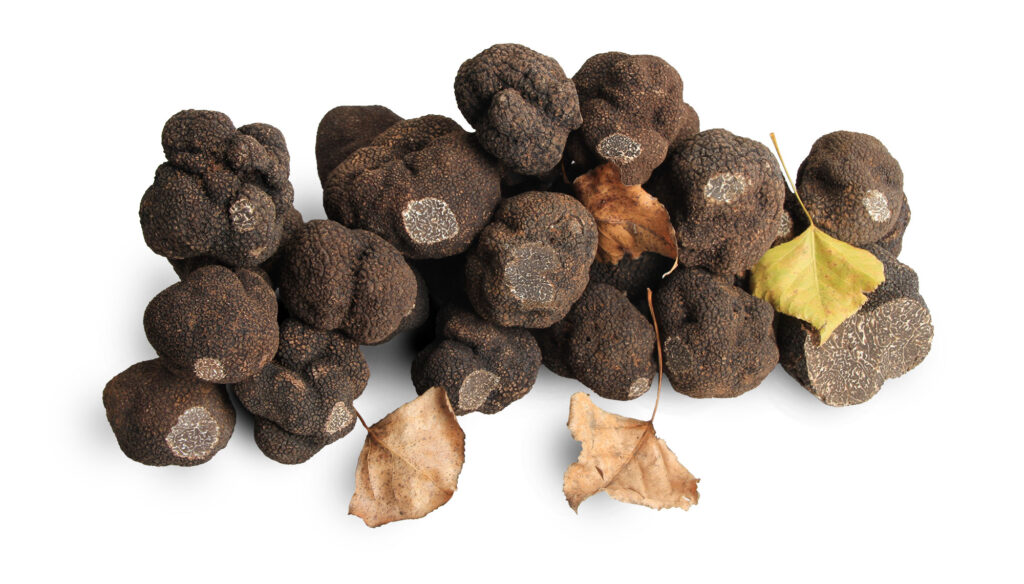 Koreniaca zmes s hľuzovkou 65g | Polvere di Tartufo – Obrázok 2